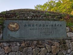 -龙井村
