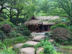 -中国茶叶博物馆(双峰馆区)