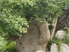 -石家庄市植物园