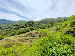 -石台牯牛降景区