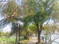 -无锡蠡湖国家湿地公园-蠡园