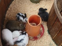 -珠海海泉湾神秘岛亲子乐园