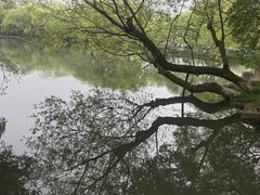 -西湖外事游船(湖滨二公园外事游船码头)