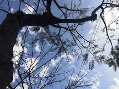 -巨鹏飞梦幻海岸