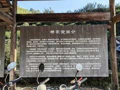 -杨家堂村