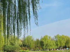 -滨湖塘西河公园