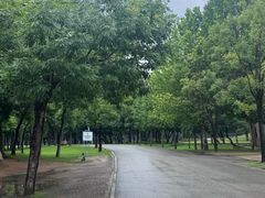 -秦皇岛野生动物园