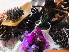 -饵块食光·云南有机手作饵块