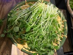 豆苗-尚尚仙·酸汤猪手·猪肚鸡火锅(华联万柳购物中心店)