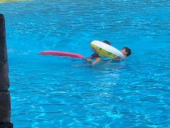 -重庆海昌加勒比海水世界