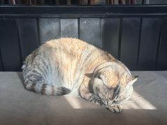 -VA Cafe(五道营店)