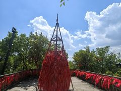 -帽儿山国家森林公园