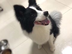 -宠颐生宠物医院·心肾内科·猫专科诊疗中心宠巢店