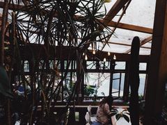 -懒鱼时光馆(沙坪坝店)