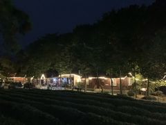 -南京市溧水区傅家边梅花山弄山庄