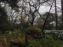 -中山公园