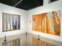 -中华艺术宫(上海美术馆)