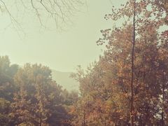 -广州市石门国家森林公园