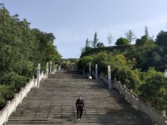 -铁山坪森林公园