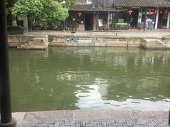 -老品芳