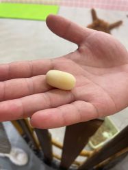 -Moni星球萌宠·小马宝莉·灵蛇·高端高阶全萌宠互动体验俱乐部(红豆国际广场店)