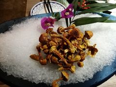 -探窝·竹笙椰子鸡(杨箕店)