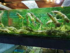 -真浪大家乐海鲜餐馆