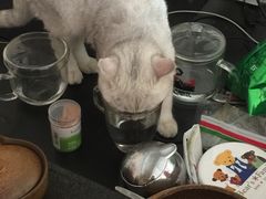 -青春加萌照相馆