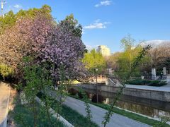 -元大都城垣遗址公园