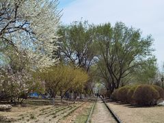 -永定河休闲森林公园