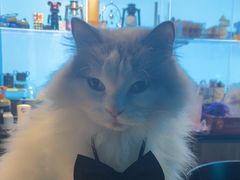 -暗楼·剧本杀·桌游