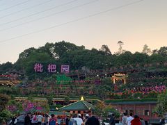 -枇杷园食为鲜火锅(南山店)