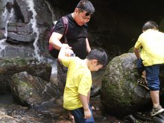 -藏龙百瀑风景区