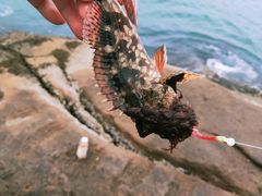 -东极岛景区-东海第一哨灯塔