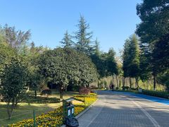 -龙头寺公园