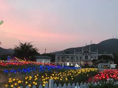 -玫瑰海岸文化旅游度假区