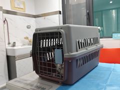 -伟伟宠物医院·CT影像中心·瑞派犬猫综合性门诊(汉口总院)