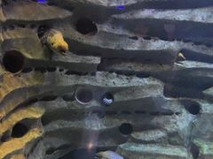 -石家庄市动物园