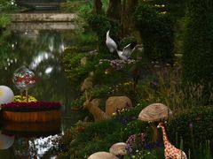 -上海共青森林公园