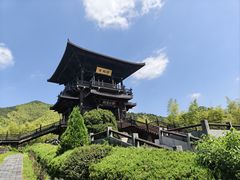 -大唐贡茶院