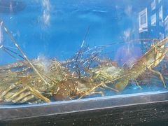 -明本湛江鸡•海鲜小厨(陈家祠店)