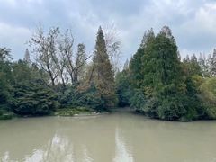 -上海滨江森林公园