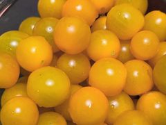 -探窝·竹笙椰子鸡(车陂店)