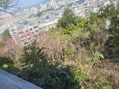 -乌山风景区