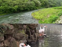 -兰亭风景区