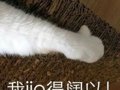 -旺豪阳光超市(友谊阳光城店)