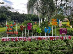 -南宁南湖公园