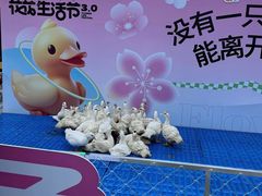 -金茂览秀城