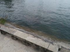 -南诏风情岛
