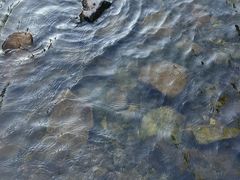 -北仑森林植物园